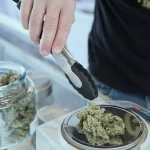 Cannabis Wholesale Operations