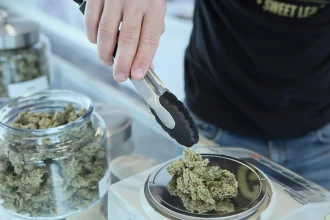 Cannabis Wholesale Operations